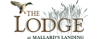 Senior Services of America